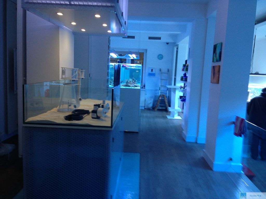 erfahrungen mit partnervermittlung wir zwei