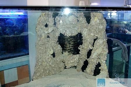 Aquarium Deko Selber Bauen ~ Haus Design und Möbel Ideen Aquarium Deko Selber Bauen ~ Haus Design und Möbel Ideen