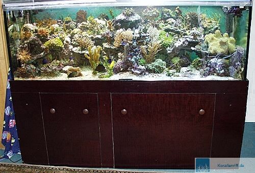 Der Bau eines Unterschrankes mit Y-Tongsteinen www.korallenriff.de