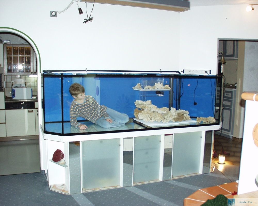 unser neues meerwasseraquarium – ein traum wird zum alptraum! www unser neues meerwasseraquarium – ein traum wird zum alptraum! www, Schlafzimmer