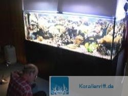 Der Bau eines Unterschrankes mit Y-Tongsteinen www.korallenriff.de