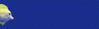 Aquaterrashop