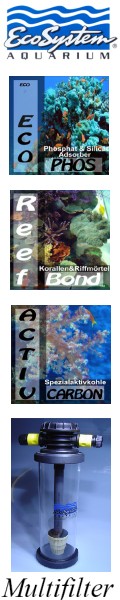 Eco System