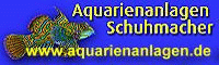 Aquarienanlagen Schuhmacher