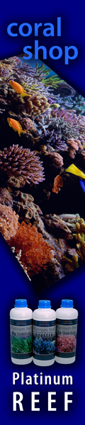 coral-shop