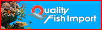Quality Fish Import
