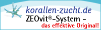 Korallen-Zucht