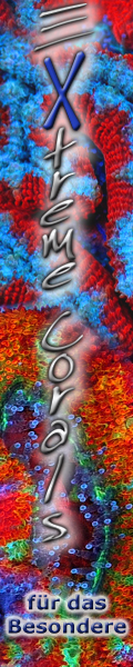 Extremcorals