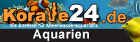 Koralle24