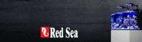Red Sea