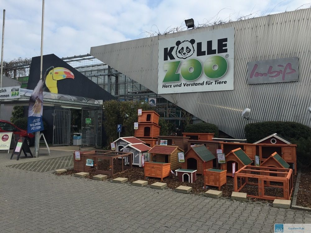 Zu Besuch beim Kölle Zoo in Stuttgart www.korallenriff.de