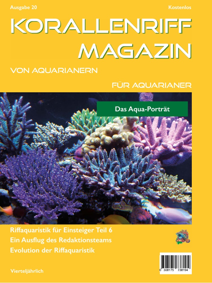 Ausgabe 17