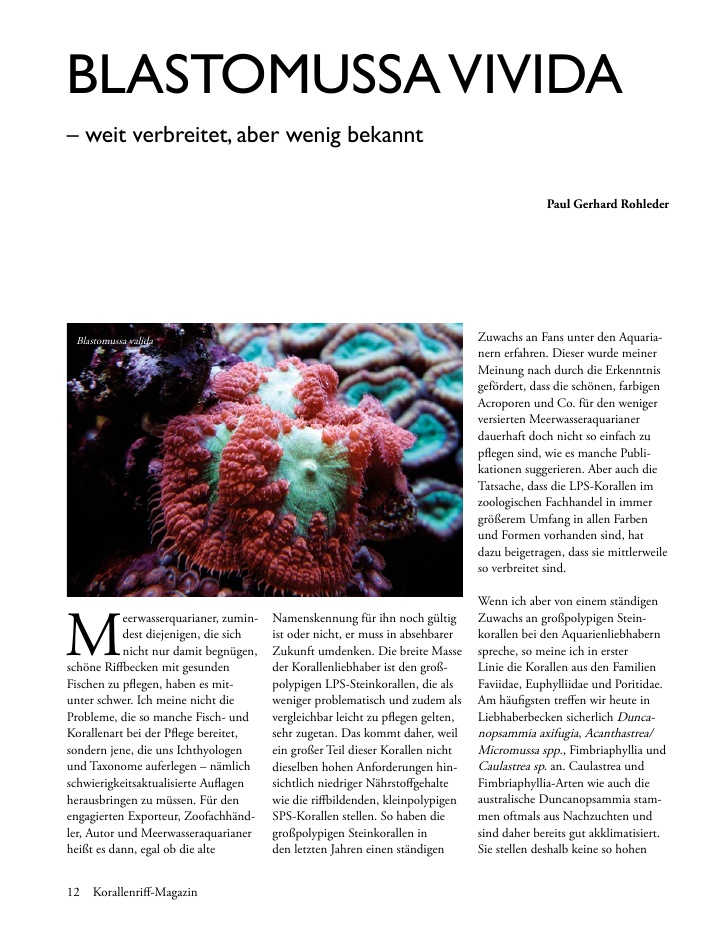Vorschaubild Seite 12