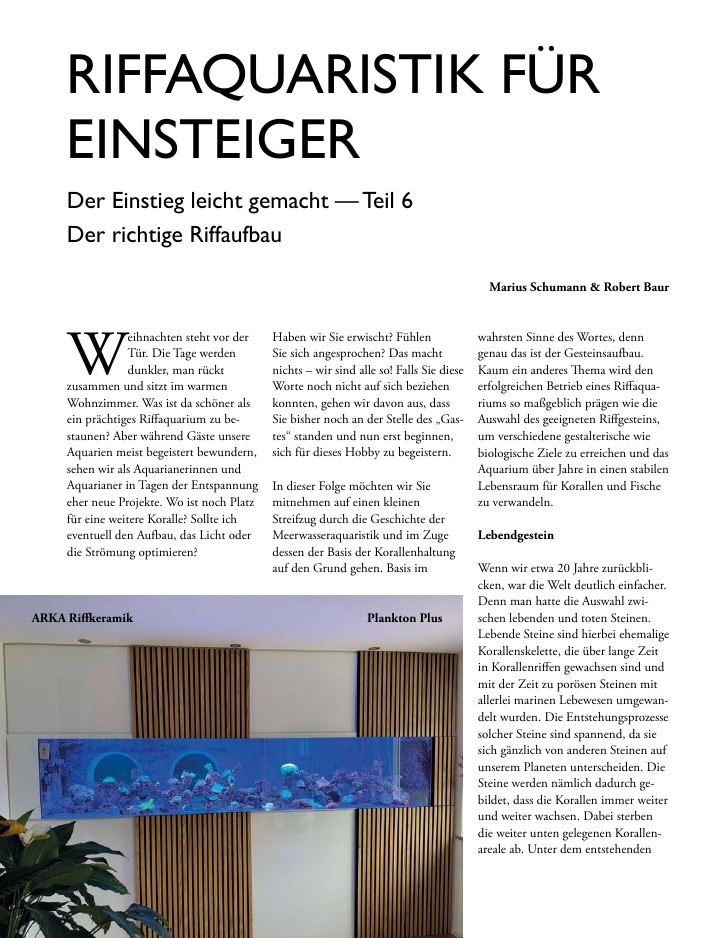 Vorschaubild Seite 20